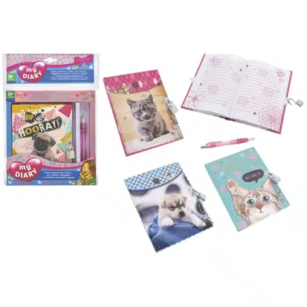 Carnet secret avec clé