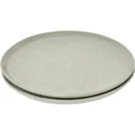 Assiette Plate Verte 27 cm – CARREFOUR HOME