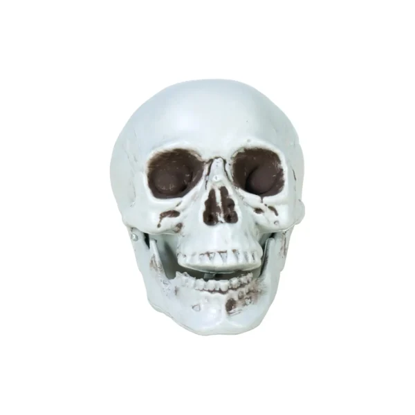 Crâne Décoratif Halloween 8 cm – P'TIT CLOWN