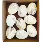Lot de 9 Boîtes Décoratives Œuf Miniature Décor Feuille Or – Générique