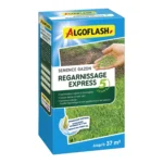 Semence de Gazon Regarnissage Express 5 jours 37m2 – ALGOFLASH