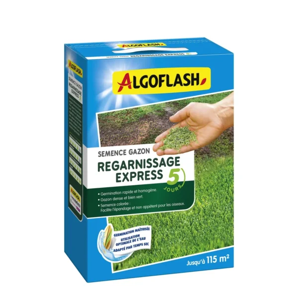 Semence Gazon Regarnissage Express 5 Jours 115m2 – ALGOFLASH