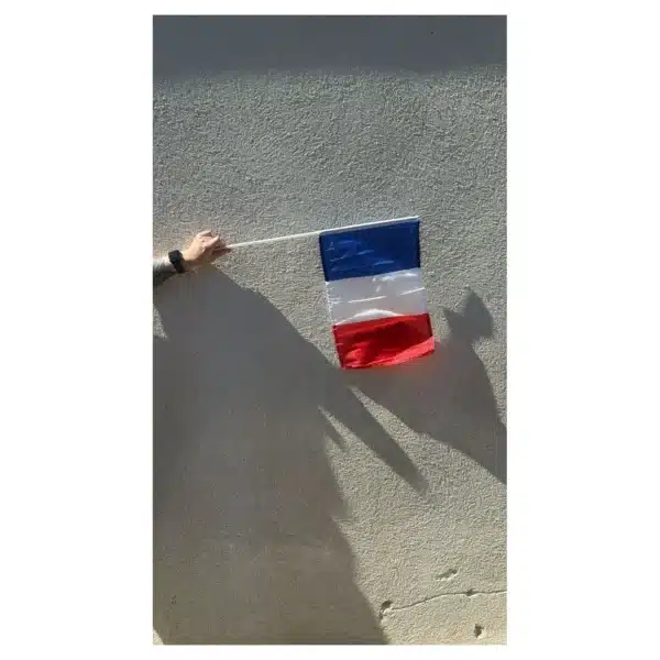 Drapeau France à main 30 x 45 cm - Accessoire supporter tricolore - Sport Eliter