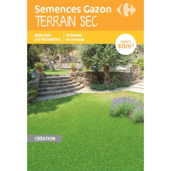 Semences de gazon spécial terrain sec 1kg – CARREFOUR