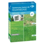 Semence de gazon Regarnissage Rapide 60m² – CARREFOUR