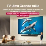 Téléviseur QNED 50QNED80A 4K UHD 126 cm (50'') – LG – Image 12