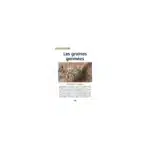 Graines germées - Petit guide pratique alimentation et santé - AEDIS EDITIONS