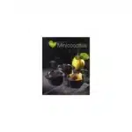 Minicocottes - Livre de recettes Tentations Gourmandes - Laurence Dalon - 74 pages - EDITIONS SAEP
