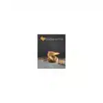 Bricks et filo - recettes de cuisine - Karine Miceli - SAEP