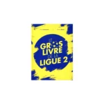 Livre Le gros livre de la Ligue 2 - Beau livre relié football (271 pages) – Hugo Sport – Image 2