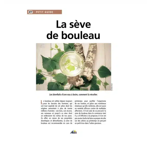 Petit Guide N°477 La Sève de Bouleau - dépliant 8 pages pelliculées, format 22 x 16 cm – Aedis