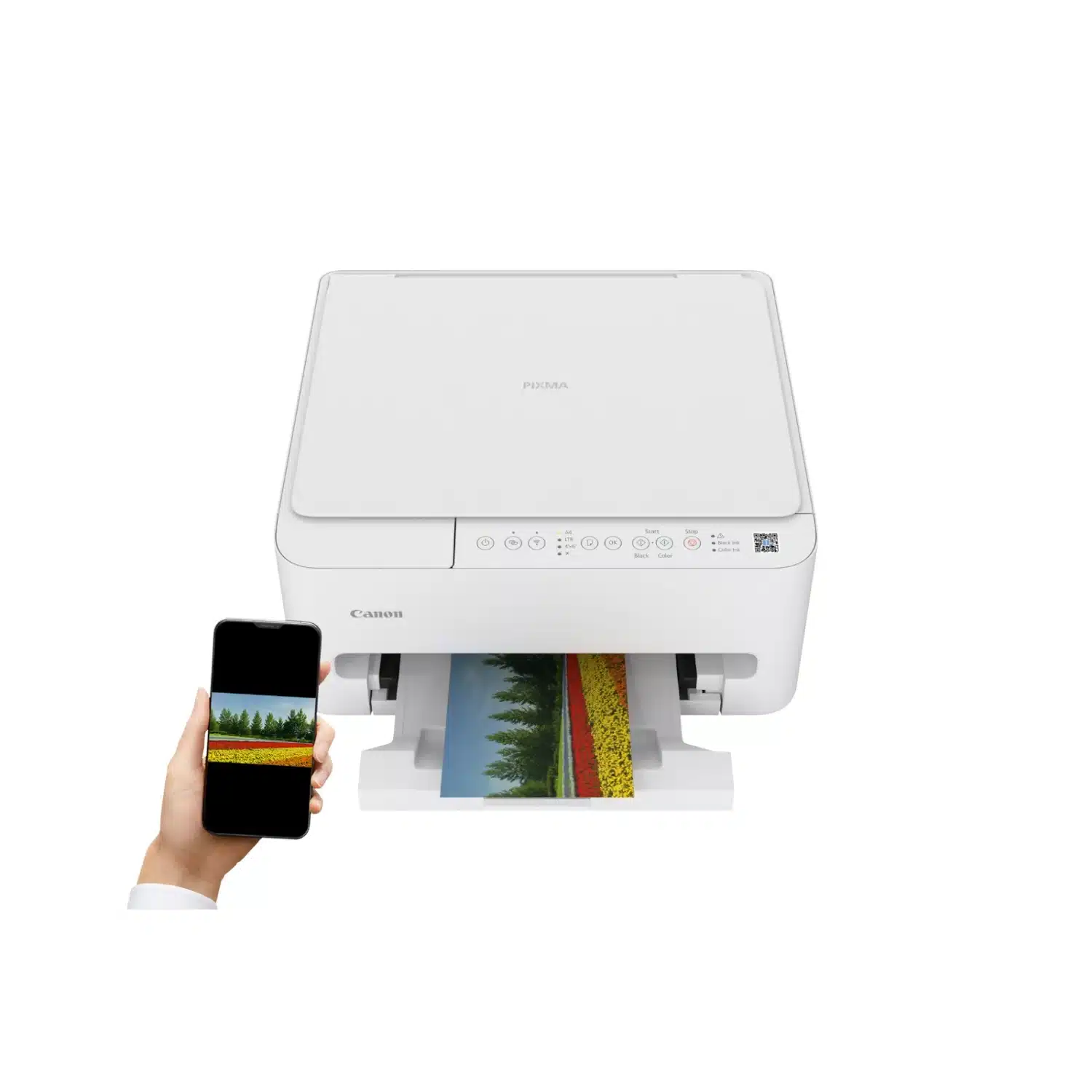 4549292248067 Imprimante multifonctions PIXMA TS4150i CANON – Image 1